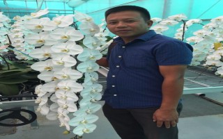 Đỗ Đức Nghĩa chia sẻ thêm về sự phát triển của hoa lan cây cảnh